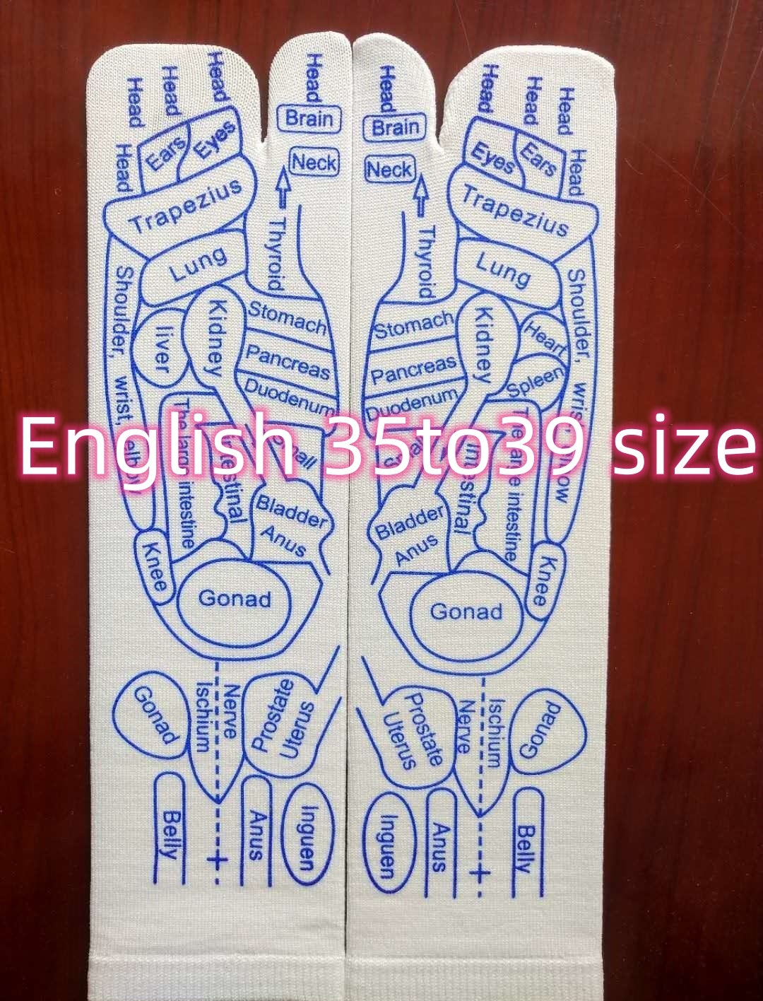 English 35to39 size