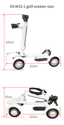 Four Wheel Golf Electric Folding Light Longboard Lawn Course Scooter